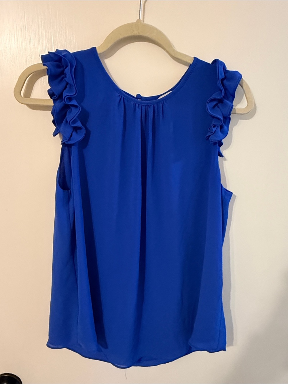 Naked Zebra Medium Ruffled Sleeve Blue Chiffon Top
